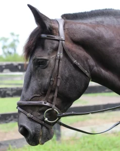 Online JPC EQUESTRIAN Henri de Rivel Piaffe Mono Crown Bridle with Flash Noseband & Patent Leather