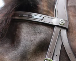 Online JPC EQUESTRIAN Henri de Rivel Piaffe Mono Crown Bridle with Flash Noseband & Patent Leather