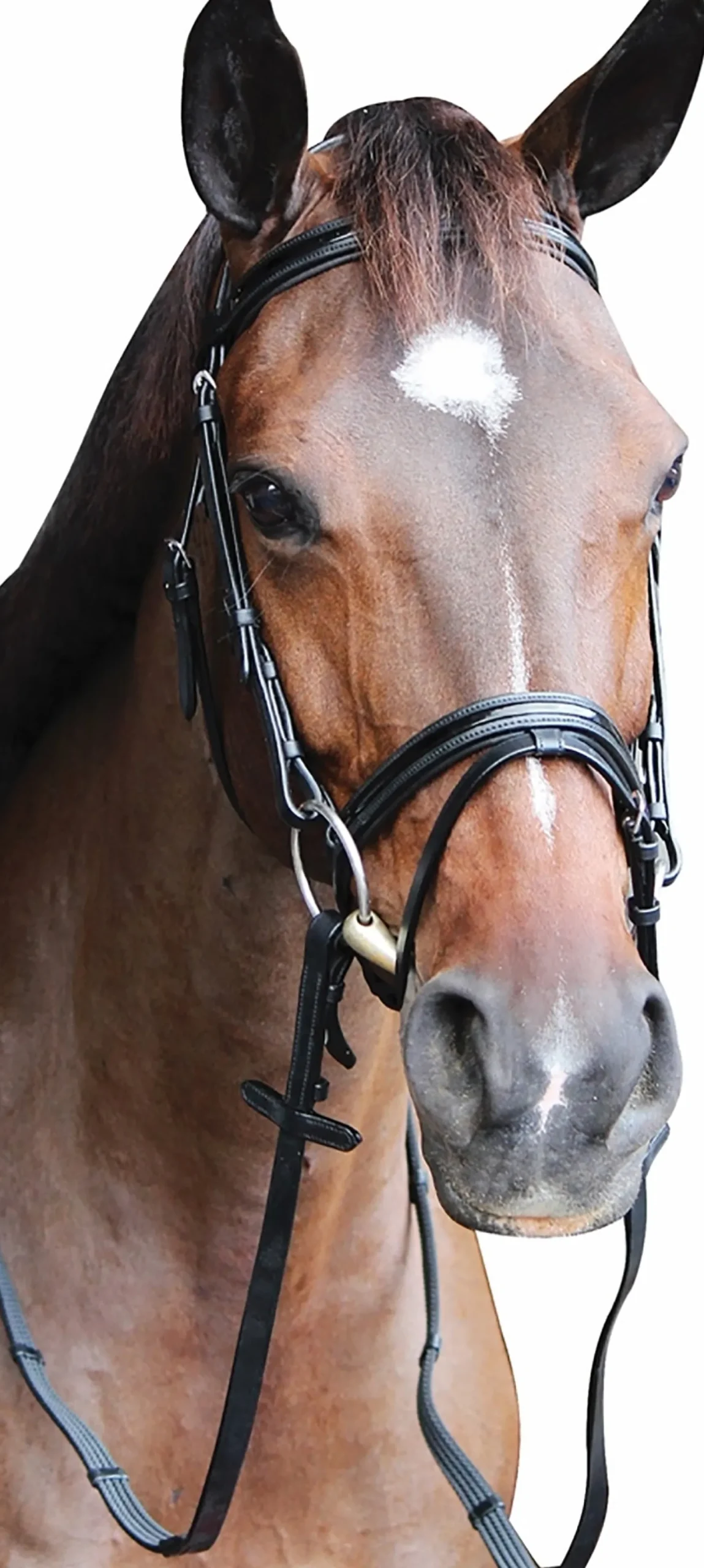 Online JPC EQUESTRIAN Henri de Rivel Piaffe Mono Crown Bridle with Flash Noseband & Patent Leather
