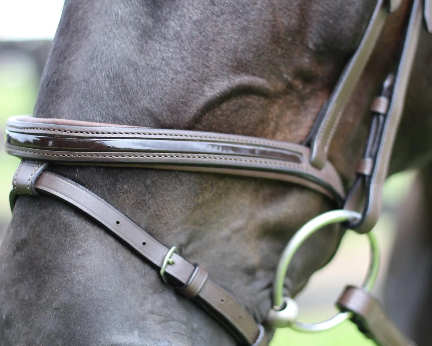 Online JPC EQUESTRIAN Henri de Rivel Piaffe Mono Crown Bridle with Flash Noseband & Patent Leather