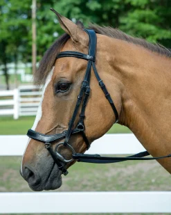 Discount JPC EQUESTRIAN Henri de Rivel Pro Anatomical Bridle