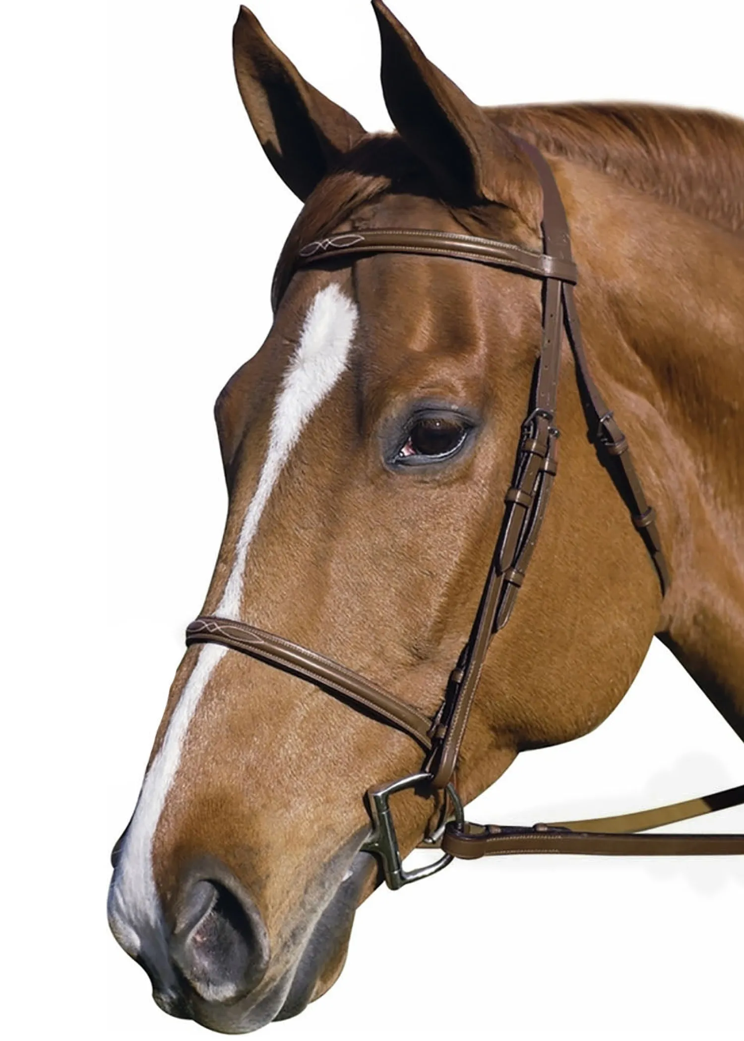 Online JPC EQUESTRIAN Henri de Rivel Pro Fancy Raised Bridle with Laced Reins