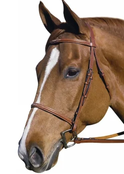 Online JPC EQUESTRIAN Henri de Rivel Pro Fancy Raised Bridle with Laced Reins