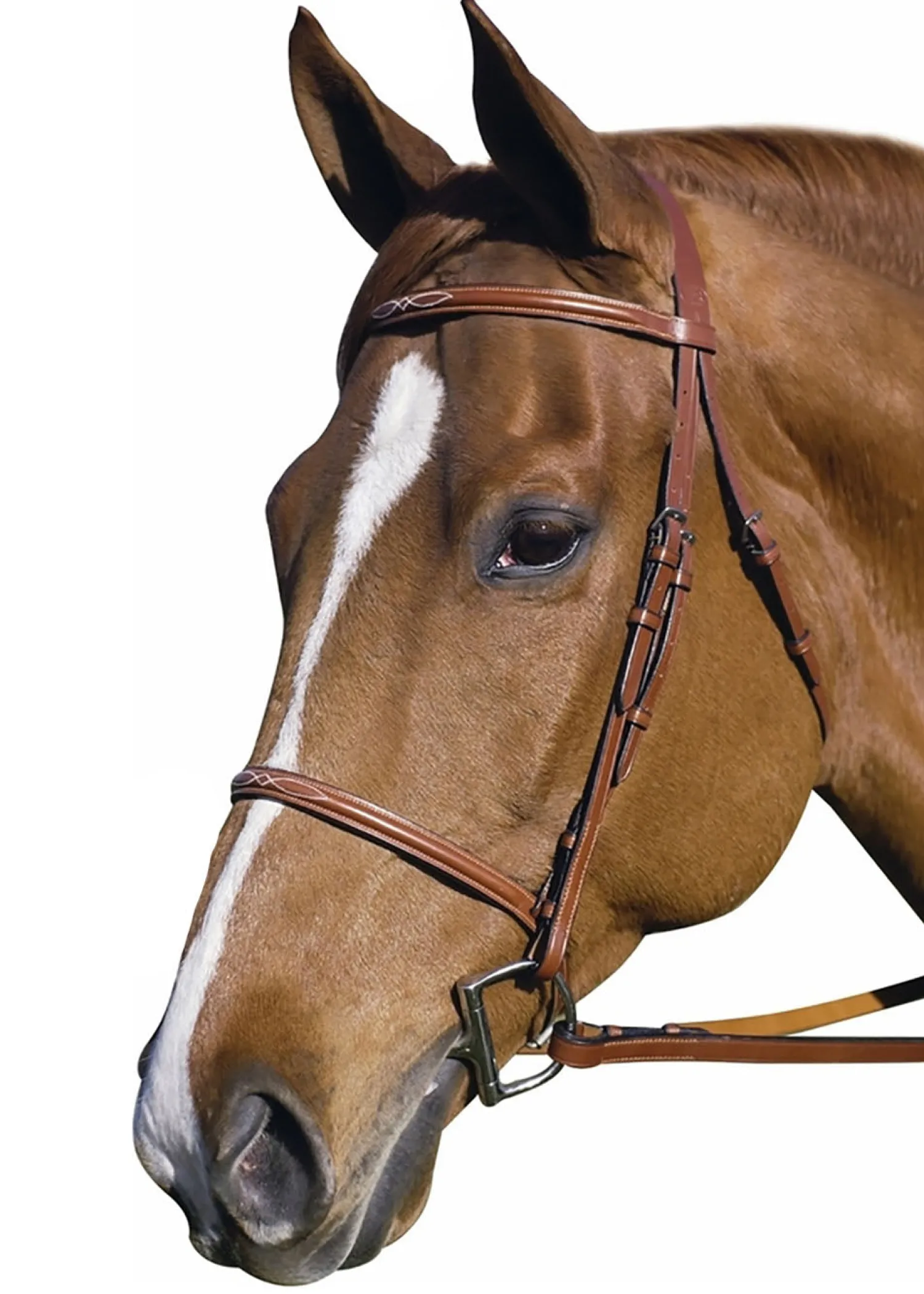 Online JPC EQUESTRIAN Henri de Rivel Pro Fancy Raised Bridle with Laced Reins