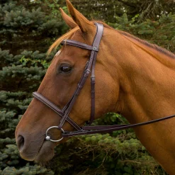 Clearance JPC EQUESTRIAN Henri de Rivel Pro Mono Crown Fancy-Stitched Padded Bridle with Laced Reins