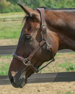 JPC EQUESTRIAN Henri de Rivel Stress Free Halter with Fancy Contrast Stitching