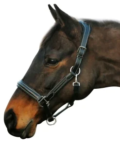 JPC EQUESTRIAN Henri de Rivel Stress Free Halter with Fancy Contrast Stitching