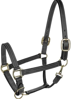 Sale JPC EQUESTRIAN Henri de Rivel Triple-Stitched Halter
