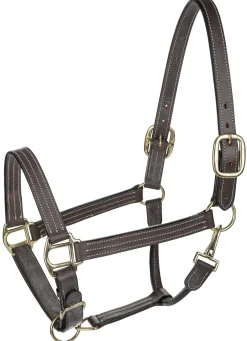Sale JPC EQUESTRIAN Henri de Rivel Triple-Stitched Halter