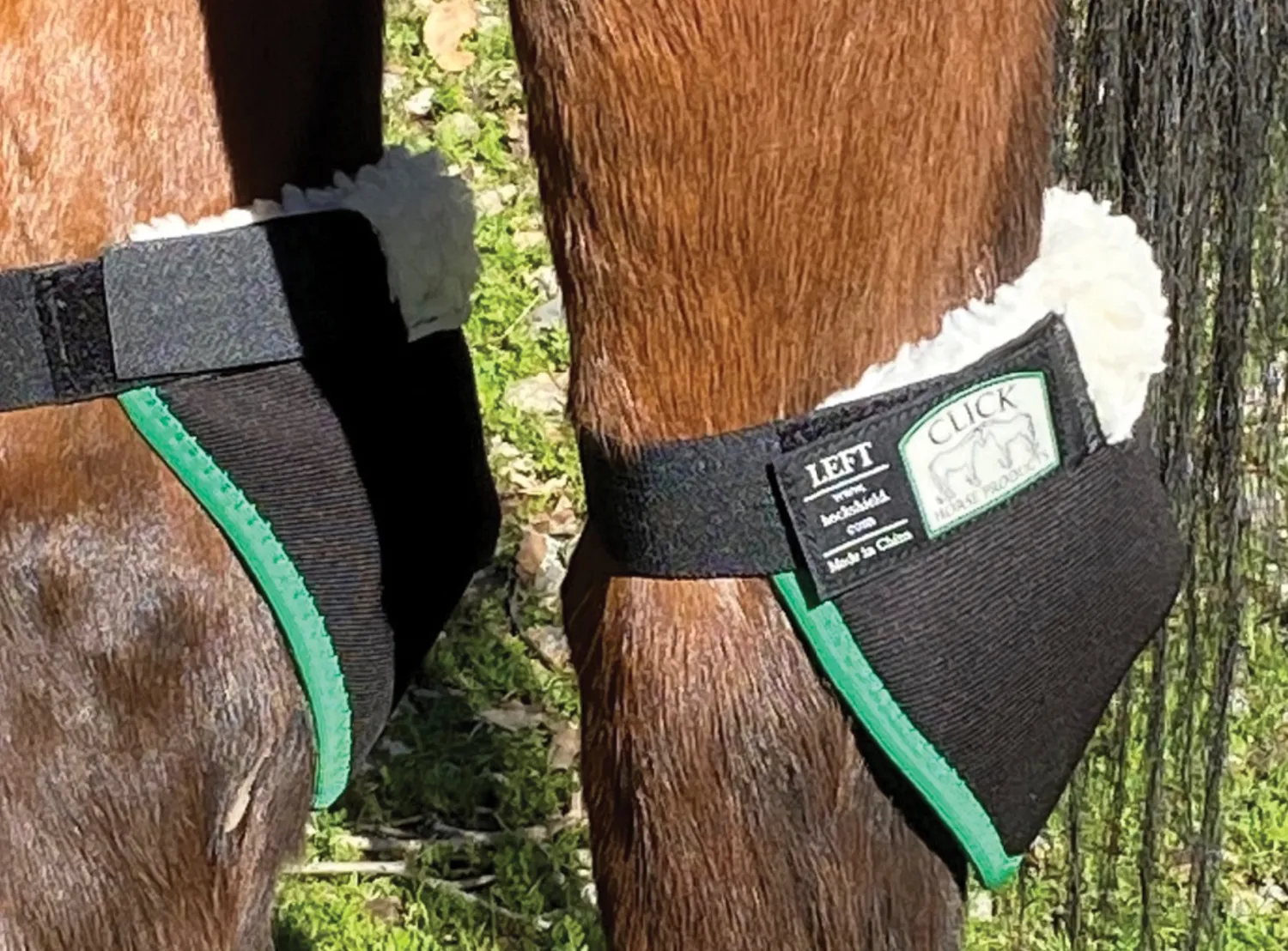 Clearance CLICK HORSE PRODUCTS Hock Shield