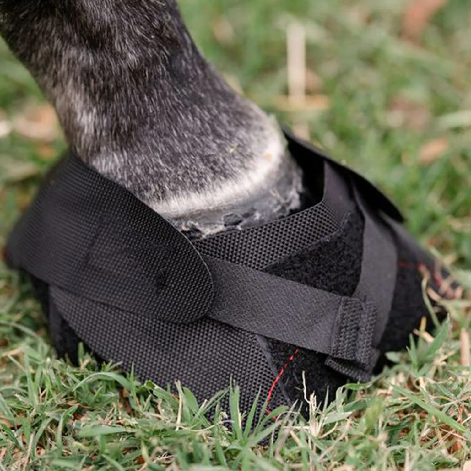 Sale MACKINNON Hoof Wraps™ Bandage Black