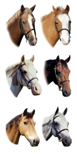 KELLEY AND COMPANY Horse Stickers