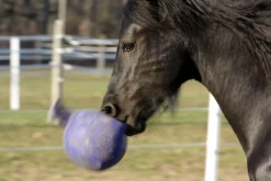 Sale HORSEMEN S PRIDE Horsemen's Pride™ Scented Jolly Ball®