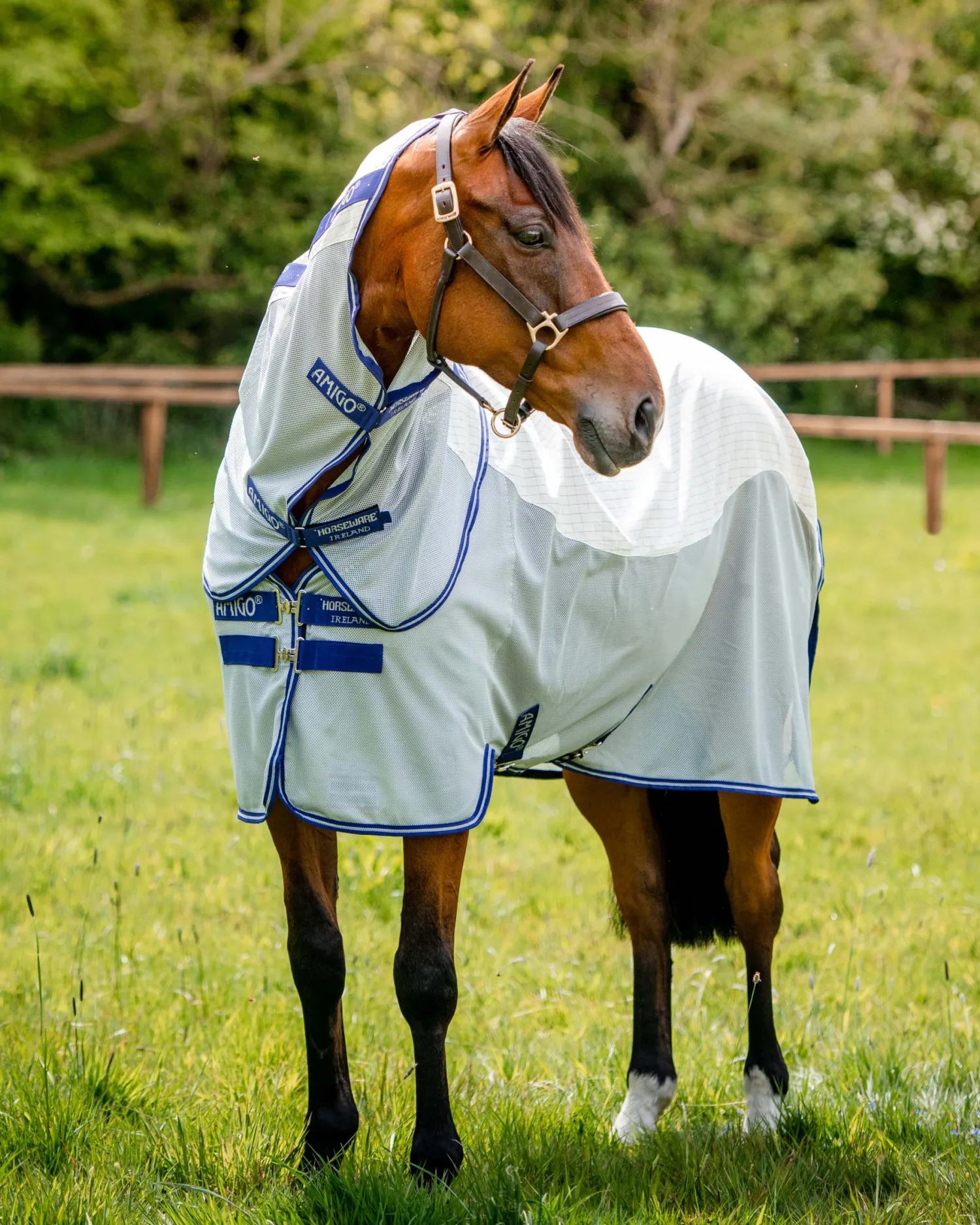 Outlet HORSEWARE ® Amigo® Airflow Sheet