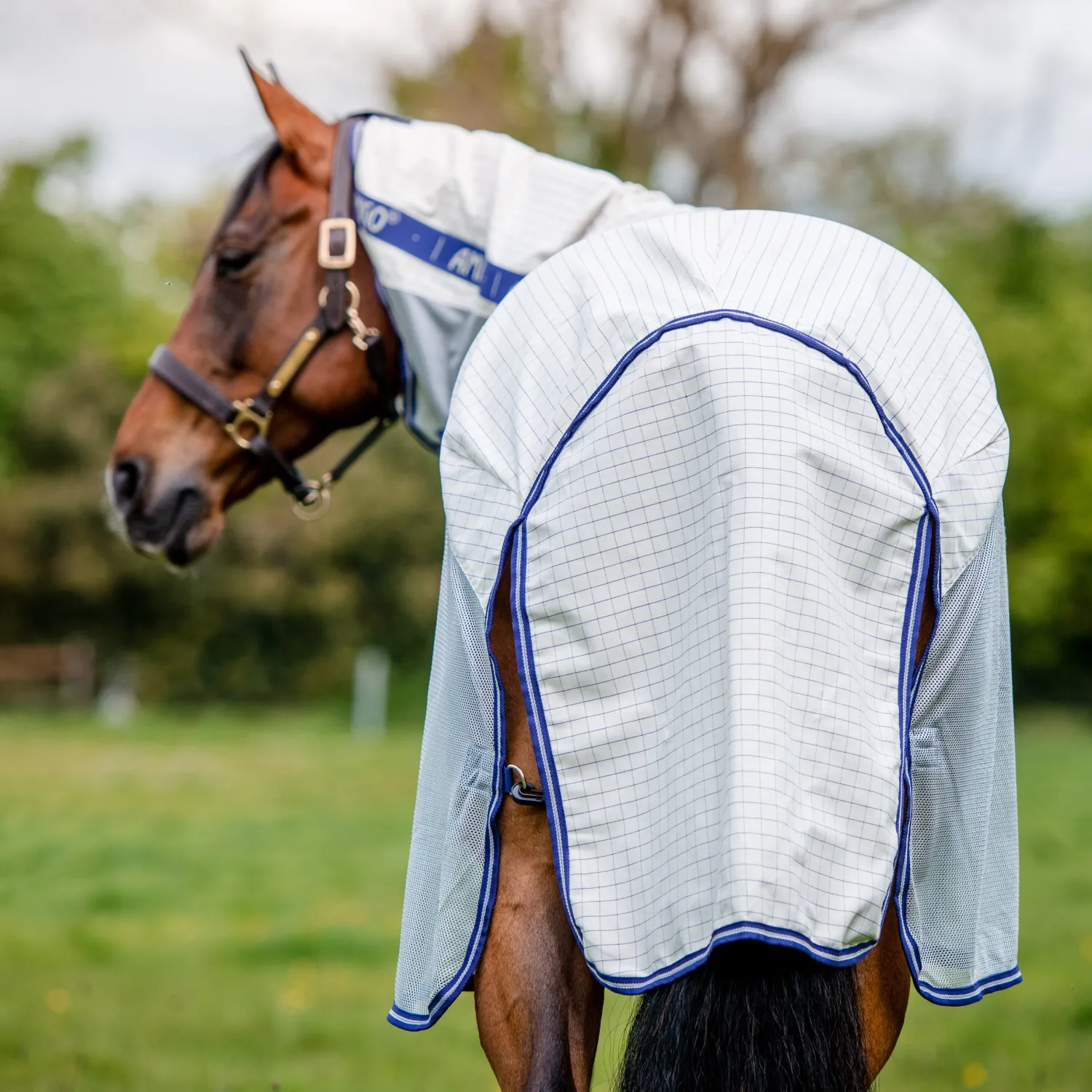 Outlet HORSEWARE ® Amigo® Airflow Sheet