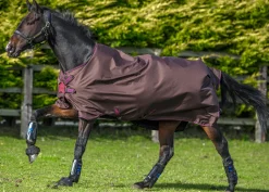 Best HORSEWARE ® Amigo® Hero 900 Lite Net Lined Turnout with Disc Front