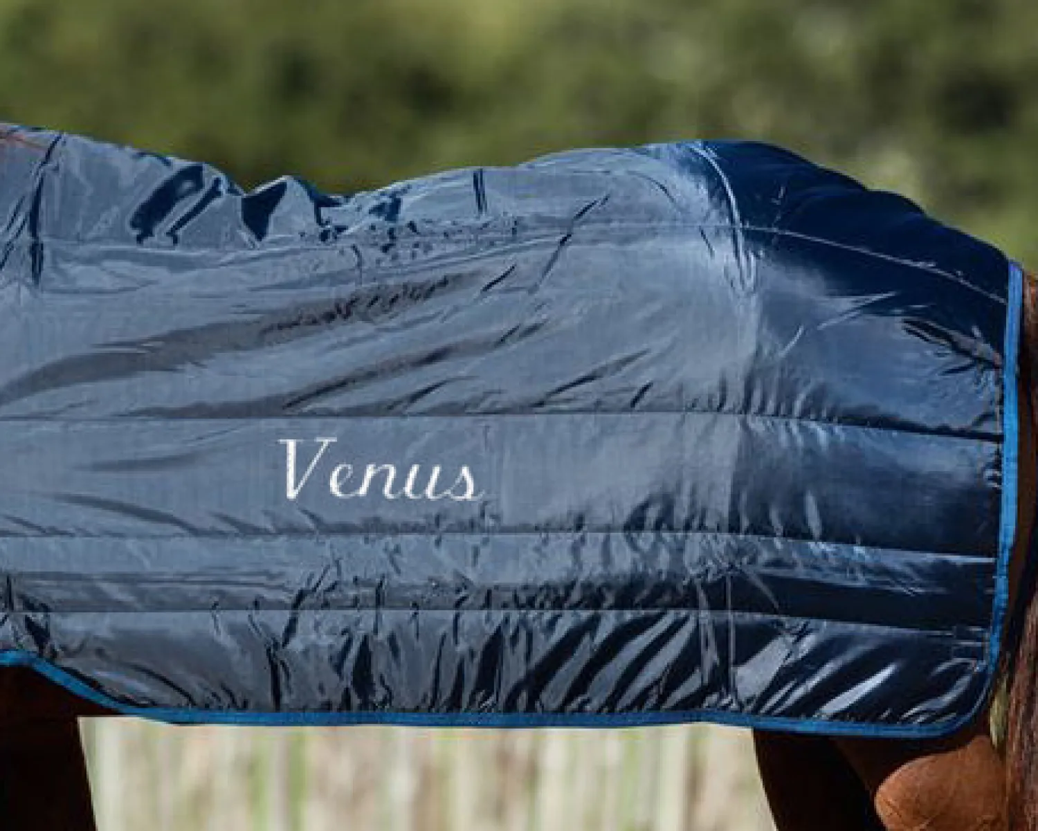 Online HORSEWARE ® Ireland 200 Gram Blanket Liner Navy/Navy