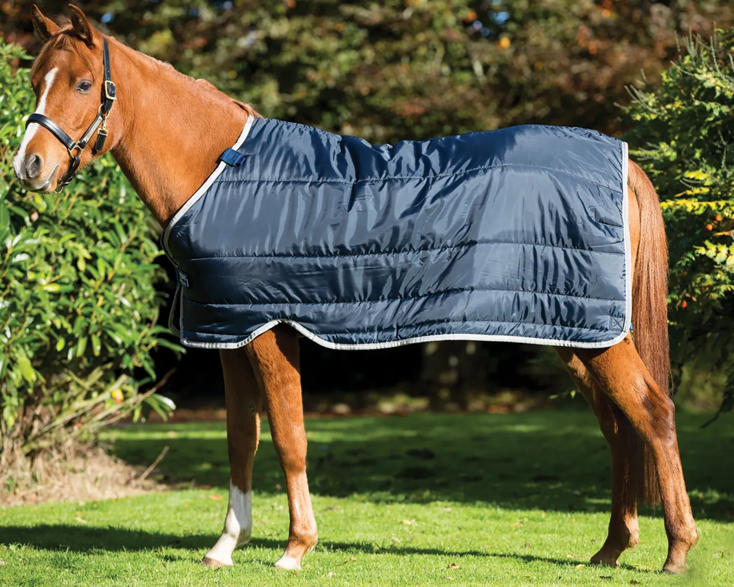 Hot HORSEWARE ® Ireland 100 Gram Pony Blanket Liner Navy/Silver