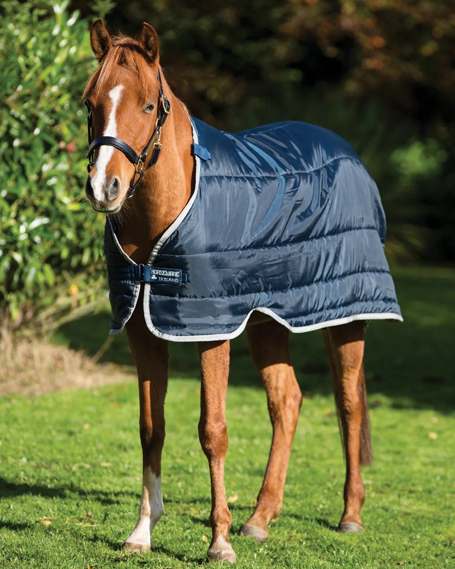 HORSEWARE ® Ireland 300 Gram Pony Blanket Liner Navy/Silver