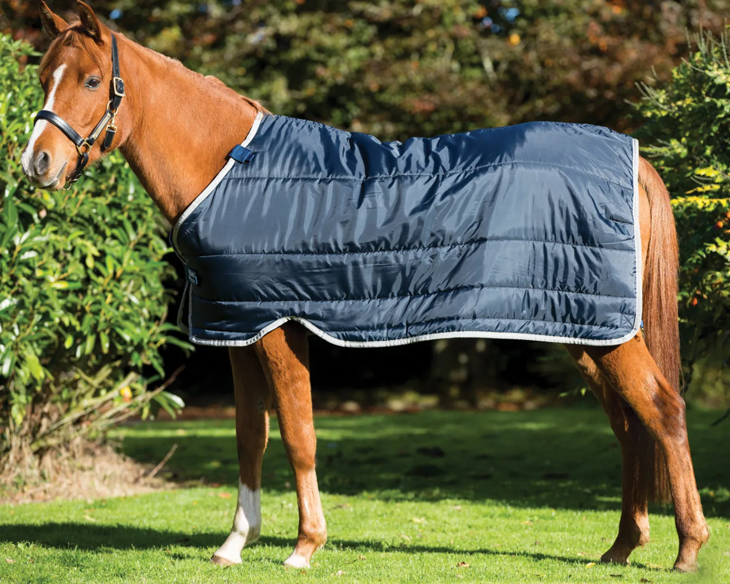 HORSEWARE ® Ireland 300 Gram Pony Blanket Liner Navy/Silver