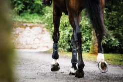 HORSEWARE ® Ireland Adagio Boots Black