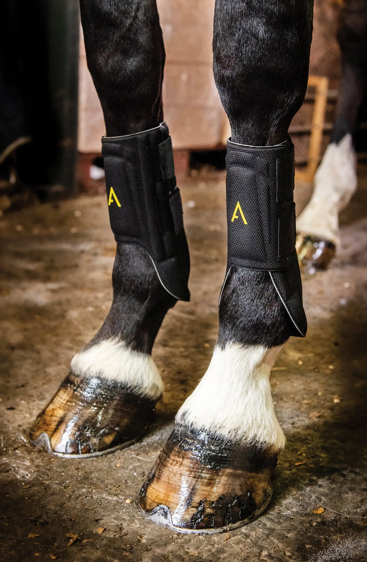HORSEWARE ® Ireland Adagio Boots Black