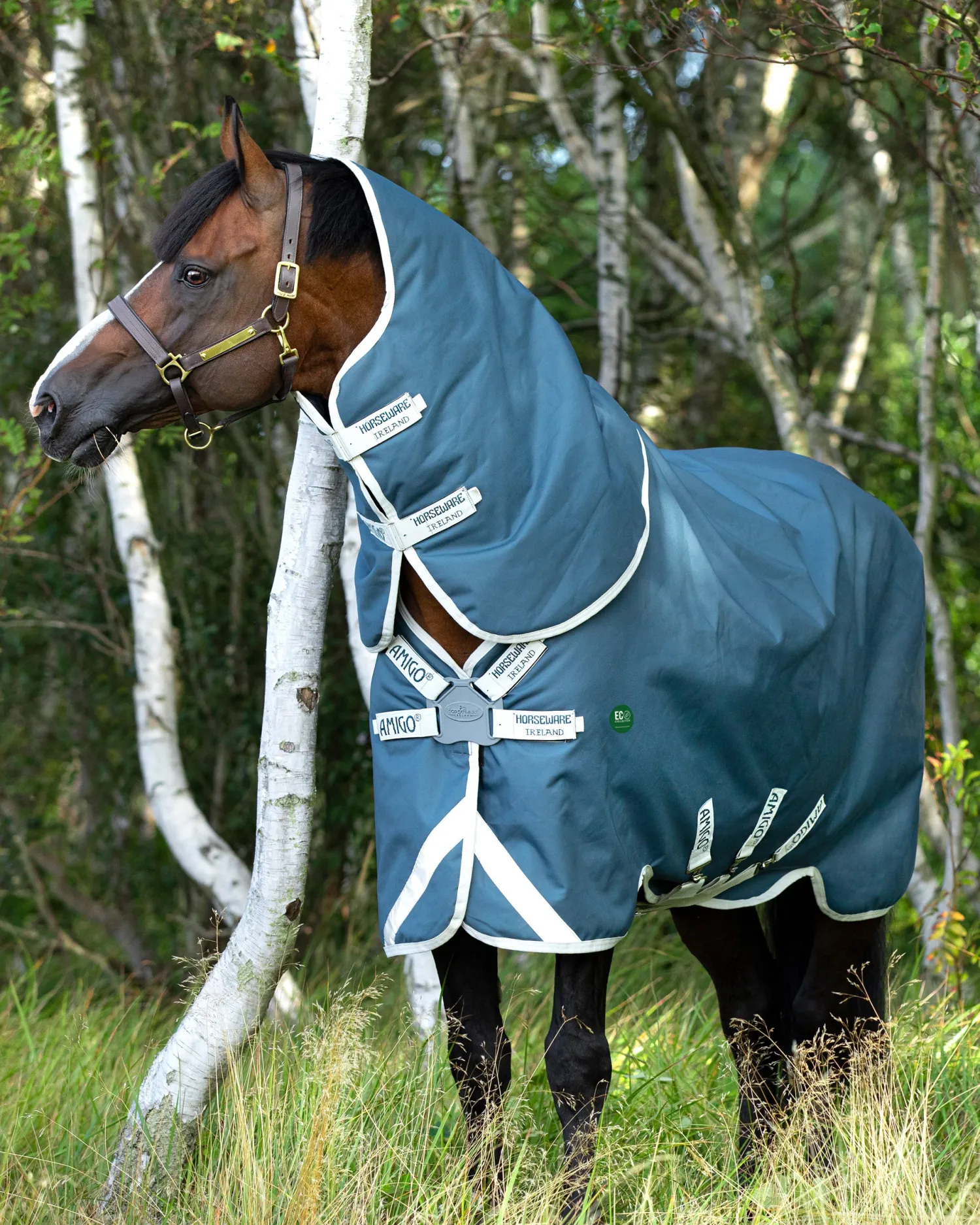 Clearance HORSEWARE ® Ireland Amigo® AmEco 12 Plus Lightweight Turnout Blanket Teal/Grey