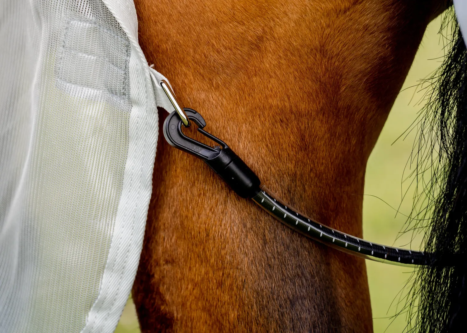 New HORSEWARE ® Ireland Amigo® AmECO Combi (No Fill) Teal/Grey