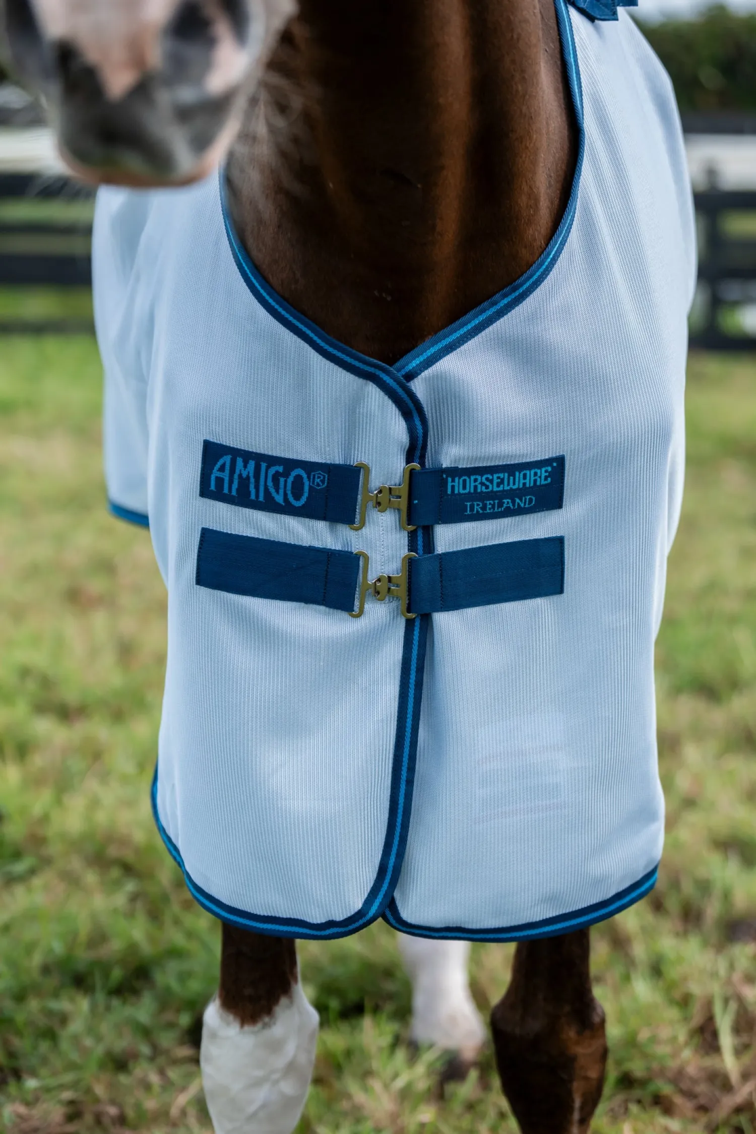 Best HORSEWARE ® Ireland Amigo® Bug Rug Plus Fly Sheet