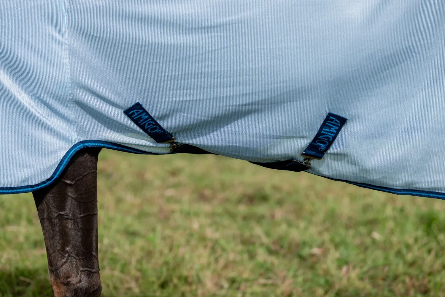 Best HORSEWARE ® Ireland Amigo® Bug Rug Plus Fly Sheet