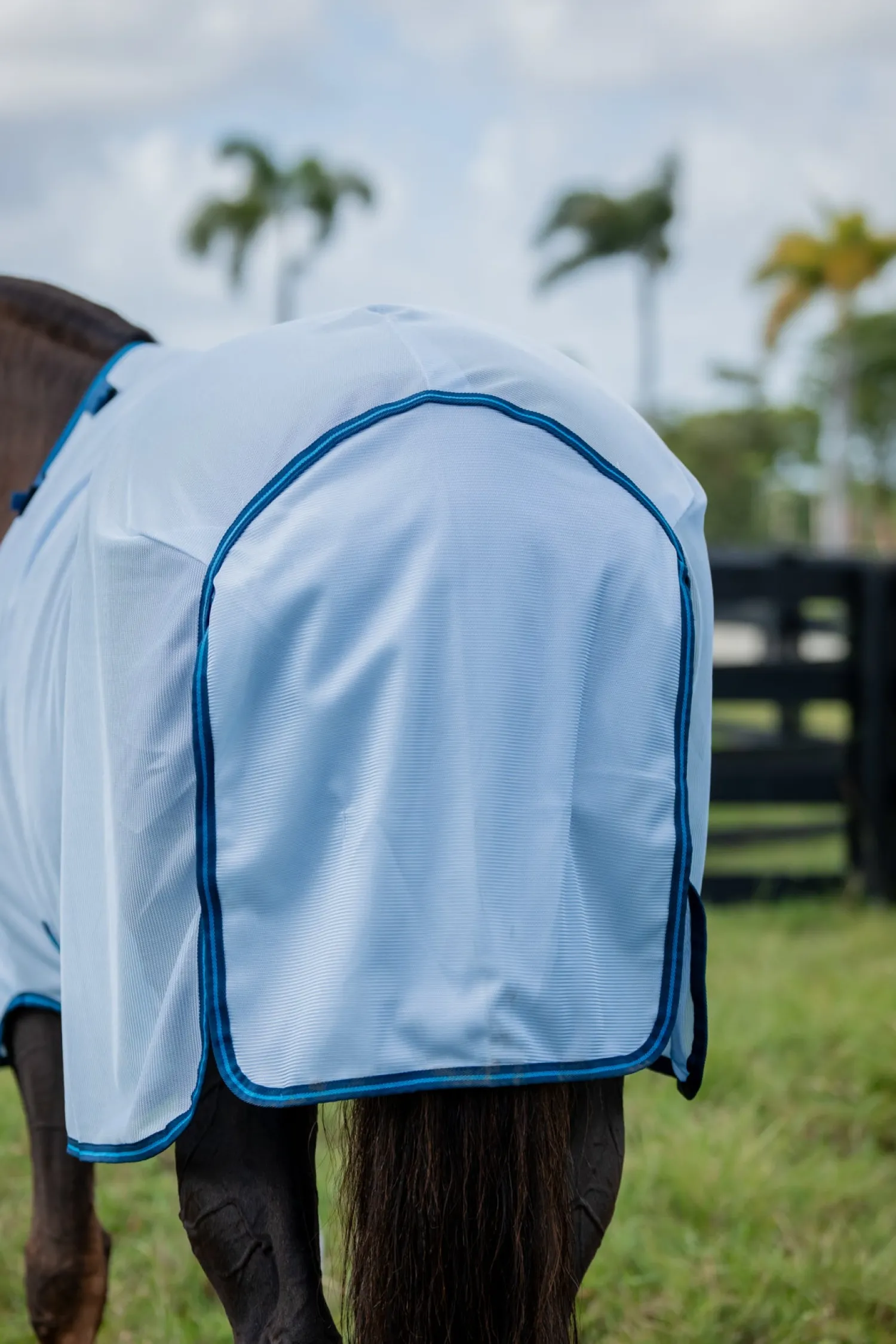 Best HORSEWARE ® Ireland Amigo® Bug Rug Plus Fly Sheet