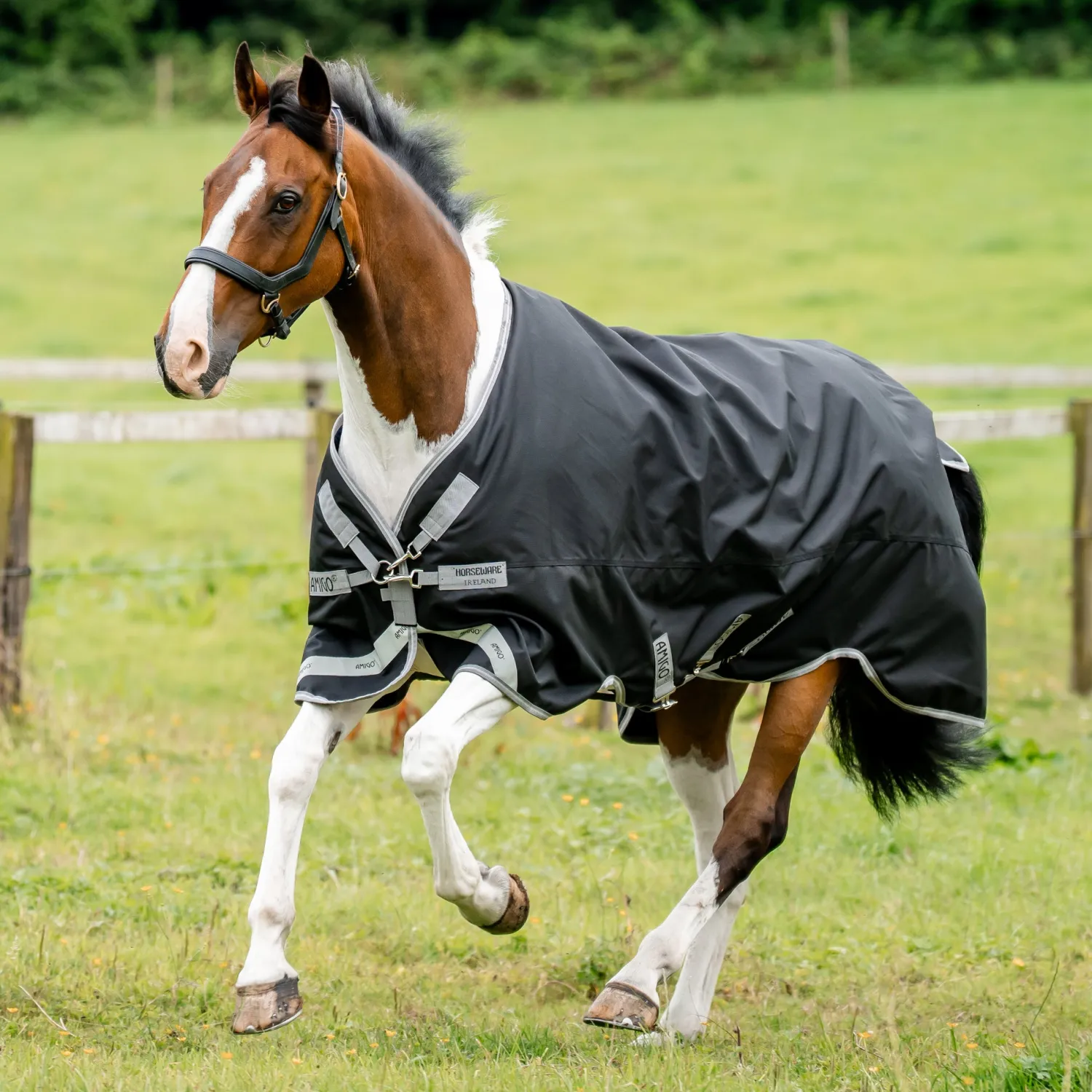 Clearance HORSEWARE ® Ireland Amigo® 1200D Turnout Standard Neck
