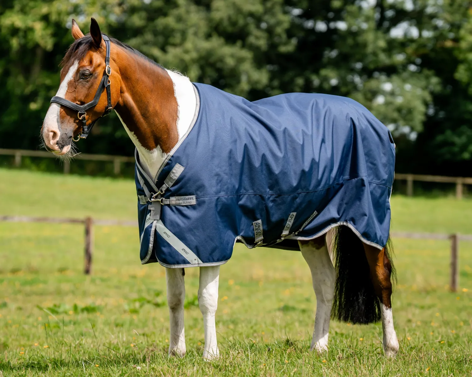 Clearance HORSEWARE ® Ireland Amigo® 1200D Turnout Standard Neck