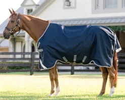 Hot HORSEWARE ® Ireland Amigo® 1200D Turnout Sheet Standard Neck
