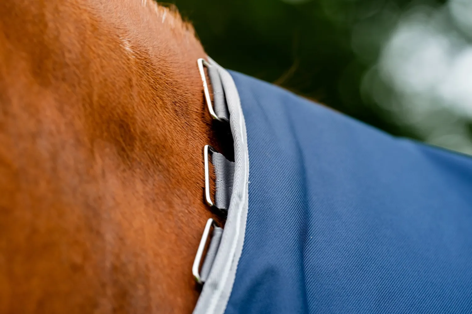 Hot HORSEWARE ® Ireland Amigo® 1200D Turnout Sheet Standard Neck