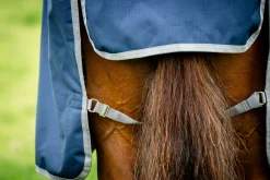 Hot HORSEWARE ® Ireland Amigo® 900D Ripstop 0 Gram Turnout Sheet