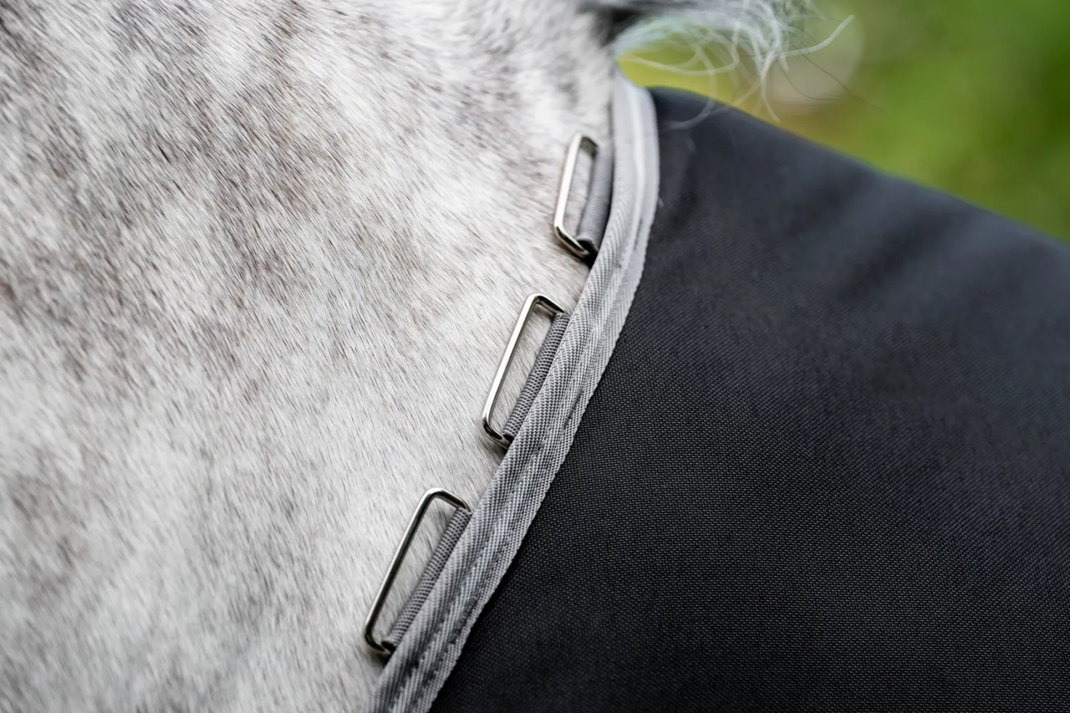 Online HORSEWARE ® Ireland Amigo® 1200D Plus Turnout 250 Gram
