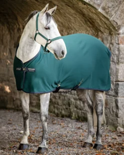 Clearance HORSEWARE ® Ireland Amigo® Jersey Cooler - Pony Dynasty Green/Navy