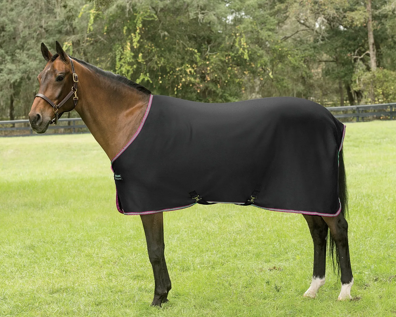 Best HORSEWARE ® Ireland Amigo® Jersey Cooler