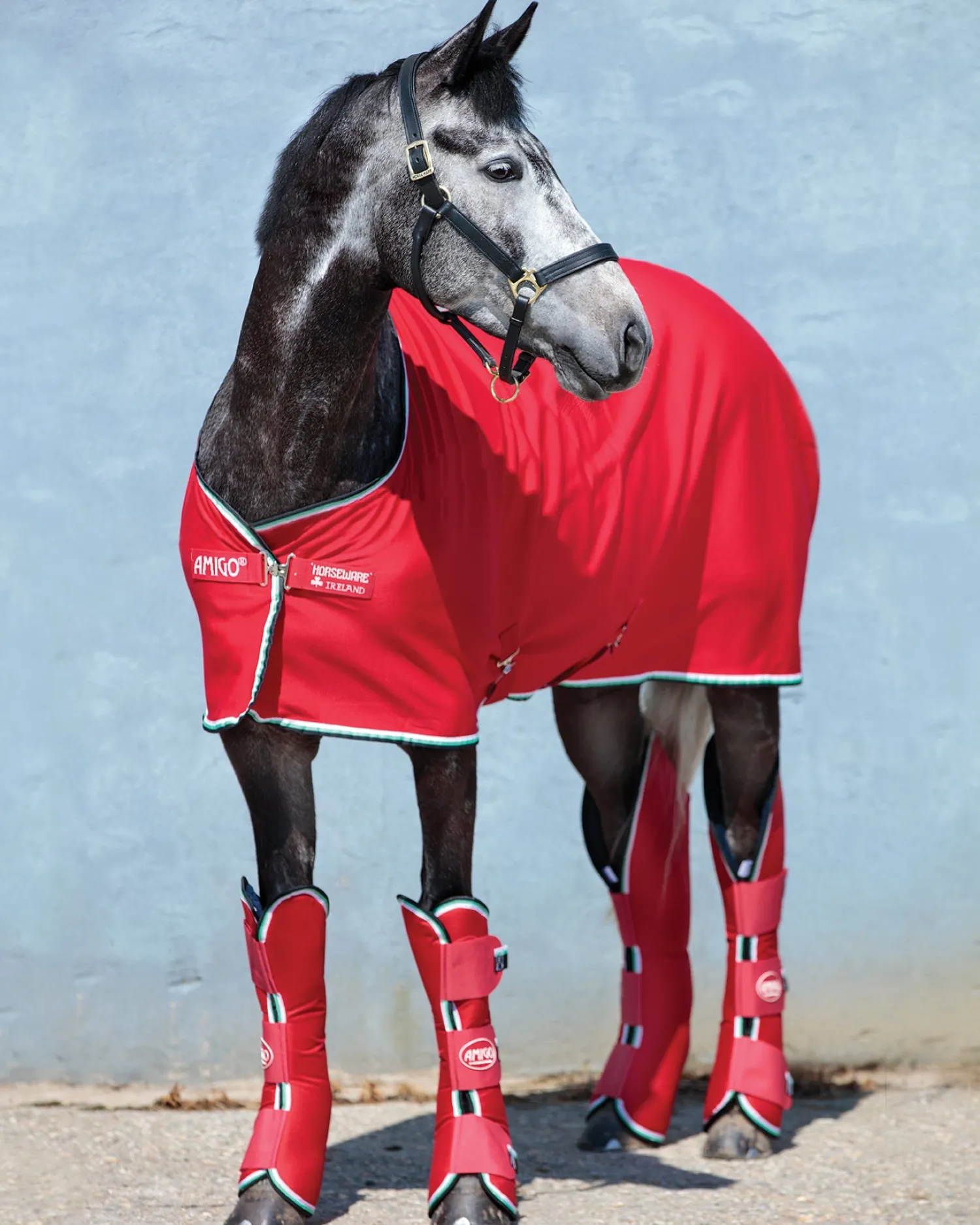 Best HORSEWARE ® Ireland Amigo® Jersey Cooler