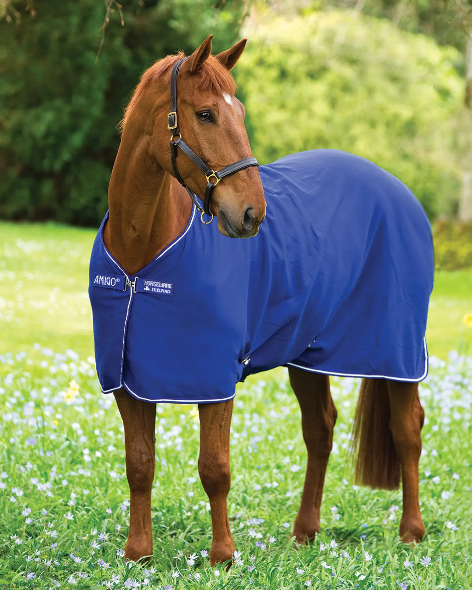 Best HORSEWARE ® Ireland Amigo® Jersey Cooler