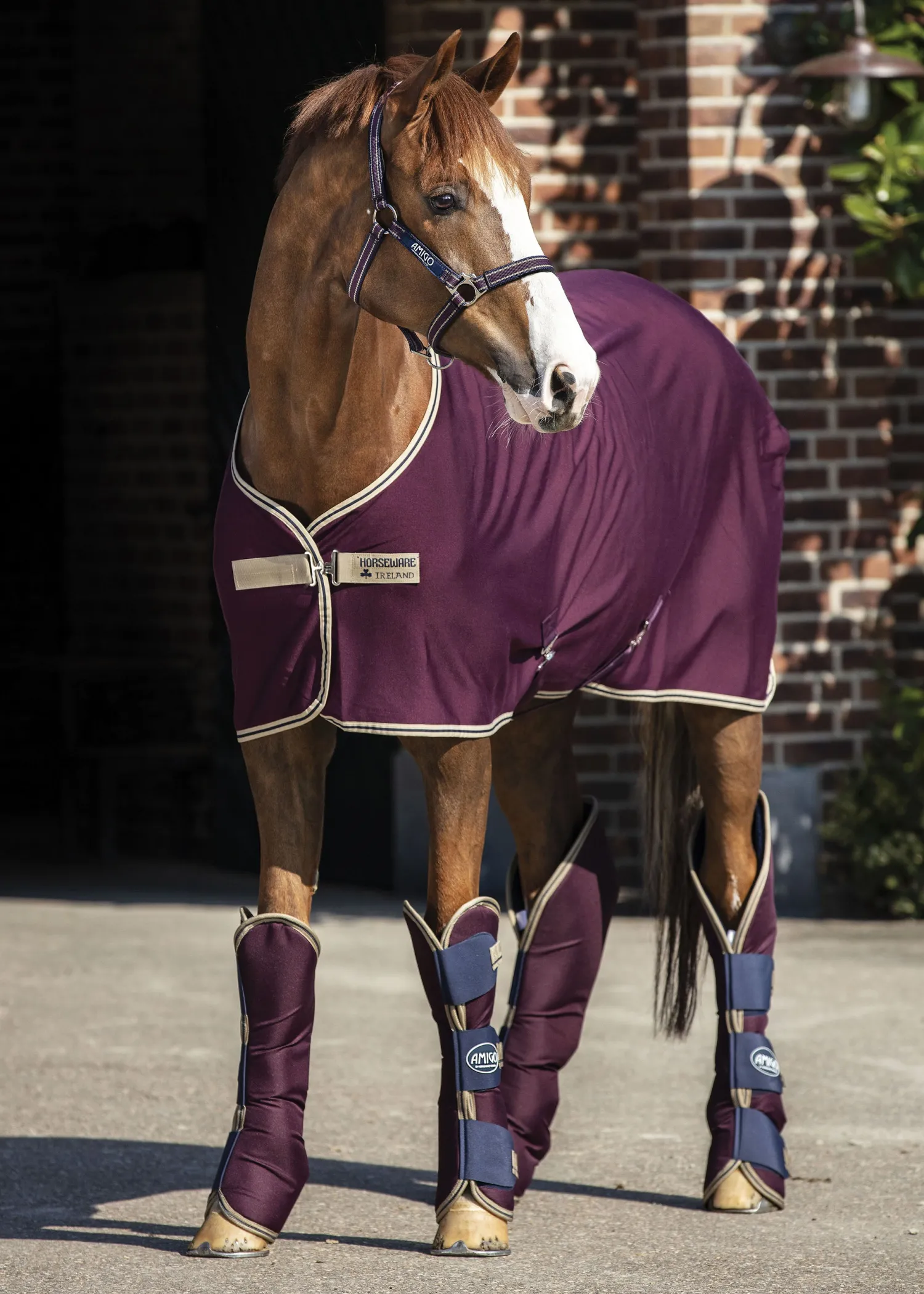 Best HORSEWARE ® Ireland Amigo® Jersey Cooler