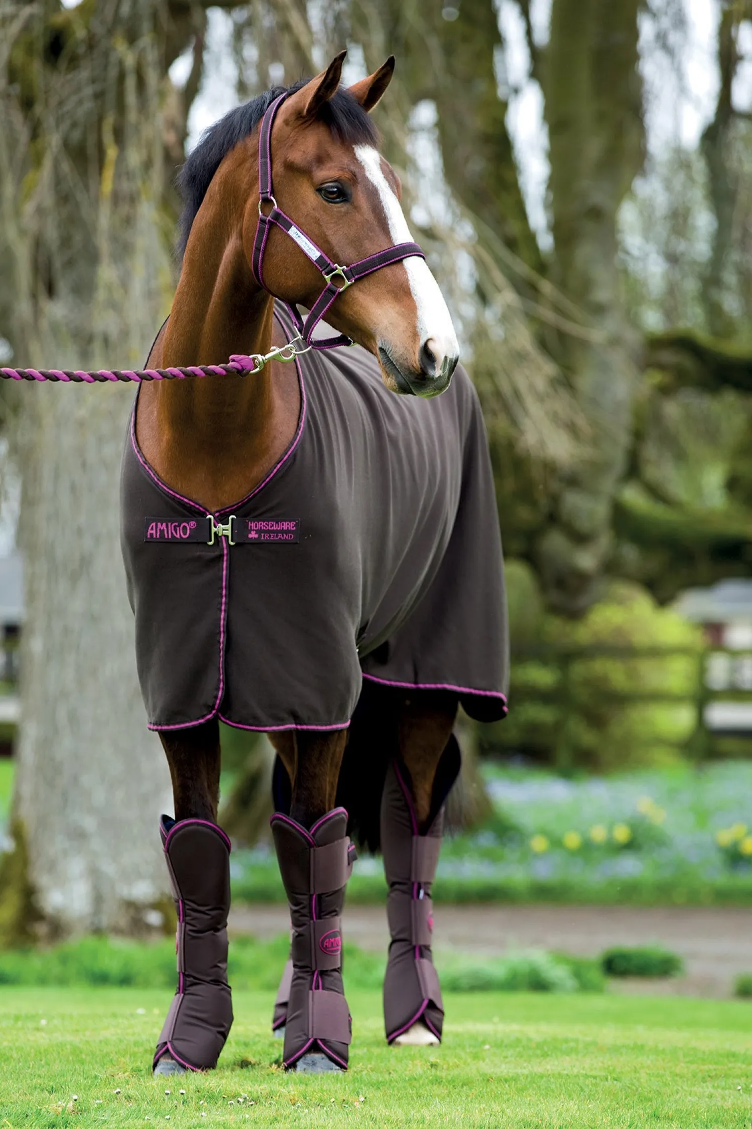 Best HORSEWARE ® Ireland Amigo® Jersey Cooler