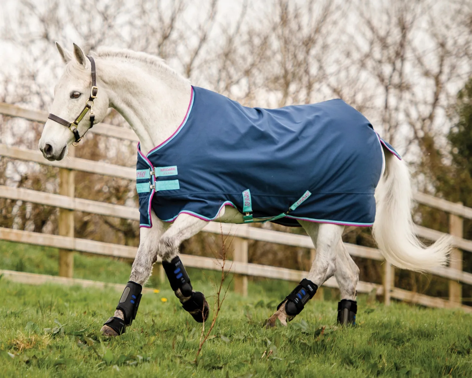 New HORSEWARE ® Ireland Amigo® Pony Hero 900D Medium-Weight Turnout Blanket