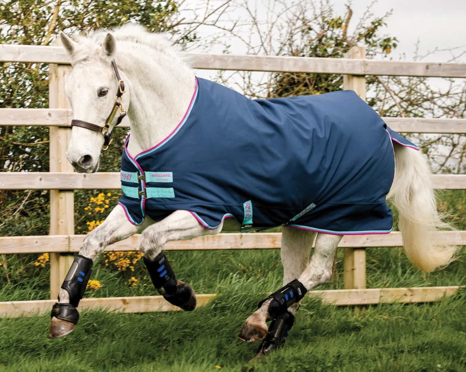 New HORSEWARE ® Ireland Amigo® Pony Hero 900D Medium-Weight Turnout Blanket