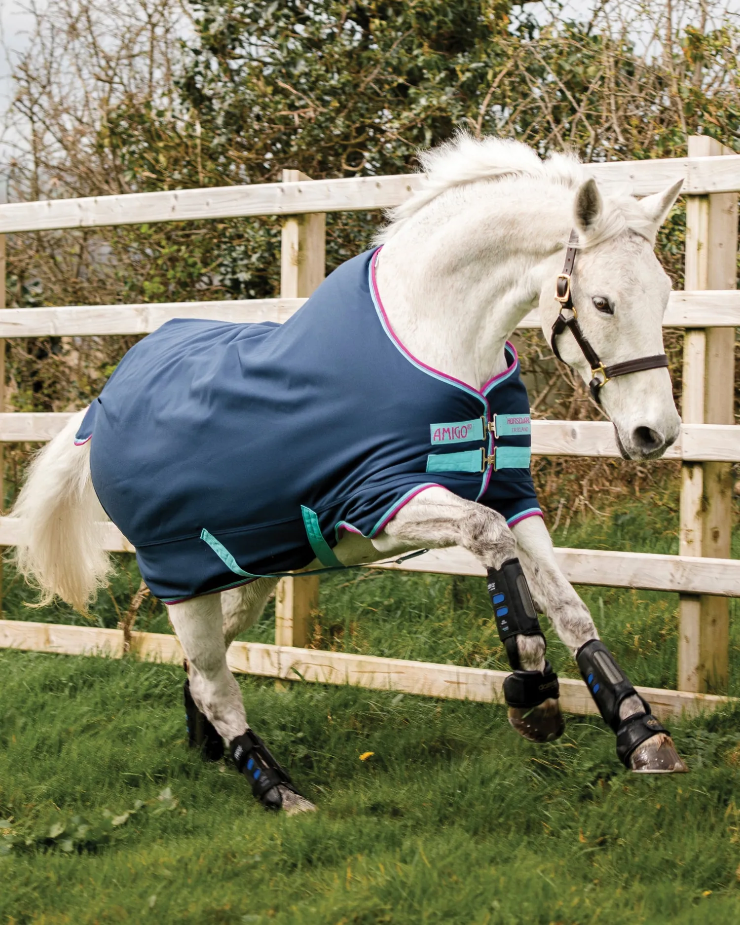New HORSEWARE ® Ireland Amigo® Pony Hero 900D Medium-Weight Turnout Blanket