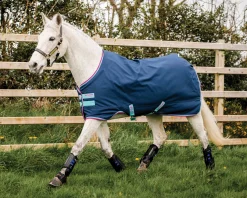 New HORSEWARE ® Ireland Amigo® Pony Hero 900D Medium-Weight Turnout Blanket