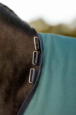 Sale HORSEWARE ® Ireland Amigo® Ripstop 900D 50 Gram Standard Neck Turnout Dynasty Green/Navy/Silver