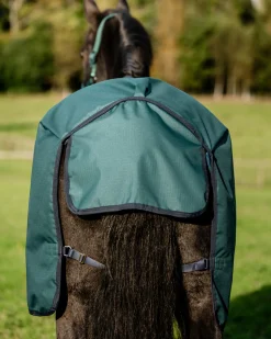 Sale HORSEWARE ® Ireland Amigo® Ripstop 900D 50 Gram Standard Neck Turnout Dynasty Green/Navy/Silver