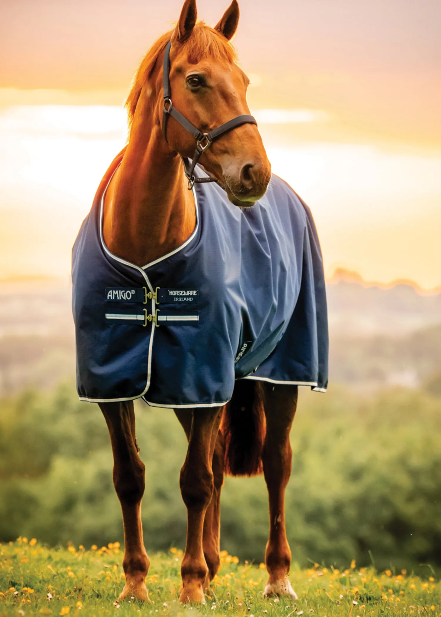 New HORSEWARE ® Ireland Amigo® Ripstop 900D Standard Neck Pony Turnout Sheet Witney Navy